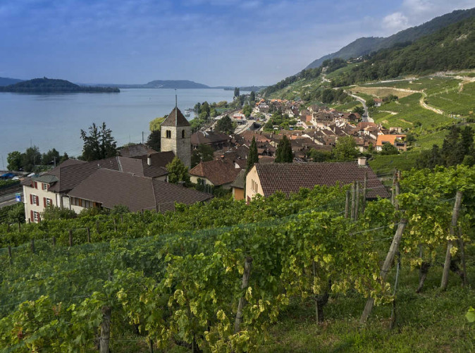 032_Schoene Aussichten Touristik vineyard-3619525_1280